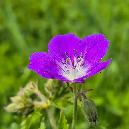 Kaufmann * Westendorf
