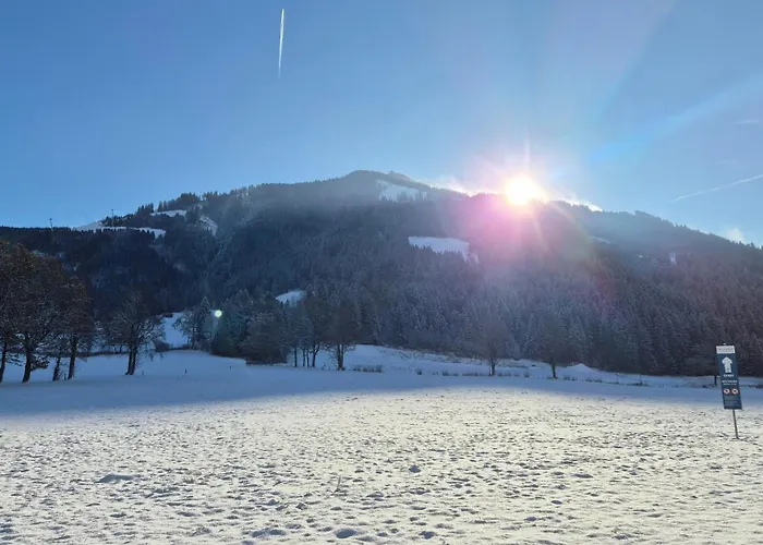 Kaufmann Lejlighed *