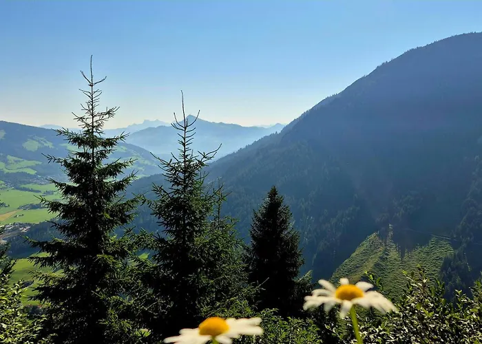 Kaufmann Appartamento