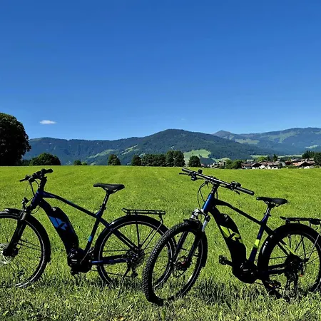 Appartement Kaufmann